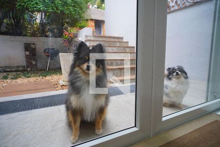 Casa à venda com 352m², 3 quartos e 4 vagasIrmãos do Dono da Casa