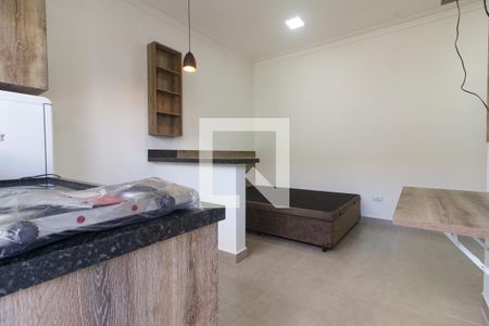 Studio de kitnet/studio para alugar com 1 quarto, 18m² em Vila Morse, São Paulo