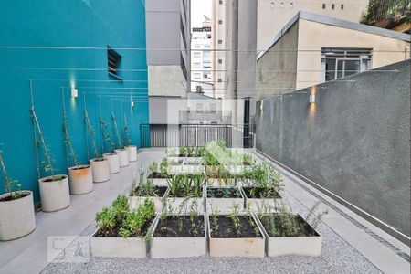 Apartamento para alugar com 26m², 1 quarto e sem vagaÁrea verde