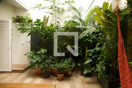 Apartamento à venda com 120m², 3 quartos e 1 vaga Apartamento à venda com 120m², 3 quartos e 1 vagaJardim de inverno