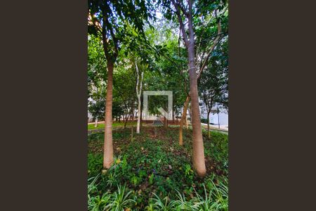 Apartamento para alugar com 69m², 3 quartos e 2 vagas Apartamento para alugar com 69m², 3 quartos e 2 vagasArea verde