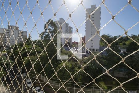 Vista da Sala de apartamento para alugar com 3 quartos, 68m² em Jardim Carvalho, Porto Alegre