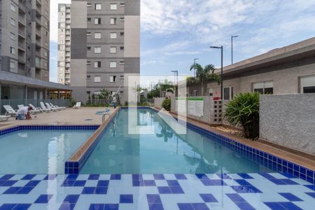 Área comum - Piscina de apartamento para alugar com 2 quartos, 48m² em Padroeira, Osasco