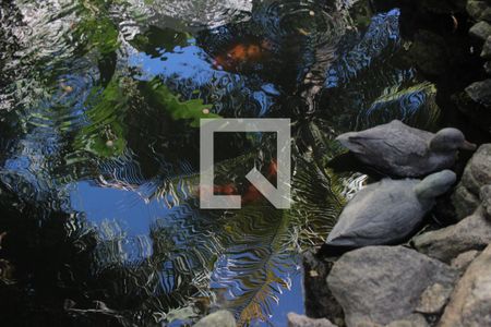 Casa à venda com 231m², 3 quartos e 2 vagasLago /Quintal