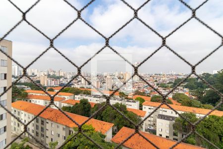 Apartamento para alugar com 50m², 2 quartos e 1 vagaVista do Quarto 1