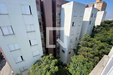 Vista do Quarto 1 de apartamento para alugar com 2 quartos, 57m² em Parque Reboucas, São Paulo
