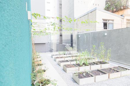 Apartamento para alugar com 37m², 1 quarto e sem vaga Apartamento para alugar com 37m², 1 quarto e sem vagaÁrea comum - Horta