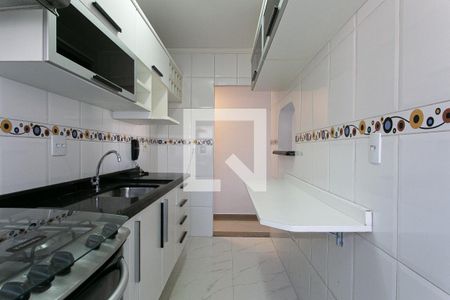 Cozinha de apartamento para alugar com 2 quartos, 55m² em Vila Mafra, São Paulo