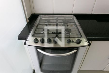 Apartamento para alugar com 55m², 2 quartos e 1 vagaCozinha - Fogão