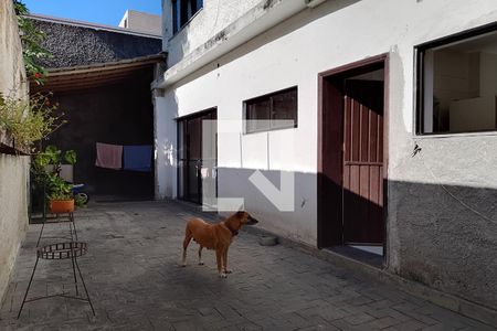 Casa para alugar com 170m², 4 quartos e 2 vagasQuintal 1