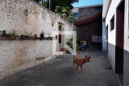 Casa para alugar com 170m², 4 quartos e 2 vagasQuintal 1