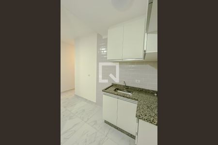Cozinha de apartamento para alugar com 2 quartos, 53m² em Vila Santa Isabel, São Paulo