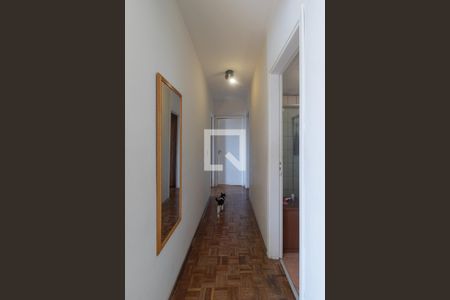 Corredor de apartamento para alugar com 3 quartos, 83m² em Vila Adyana, São José dos Campos