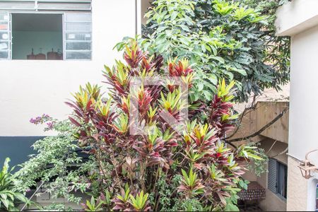 Casa à venda com 3 quartos, 300m² em Taboão, Diadema