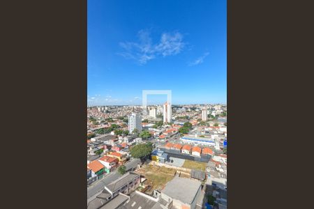 Vista da Lavanderia de apartamento para alugar com 2 quartos, 69m² em Vila Mascote, São Paulo