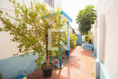 Casa à venda com 292m², 4 quartos e 2 vagasQuintal