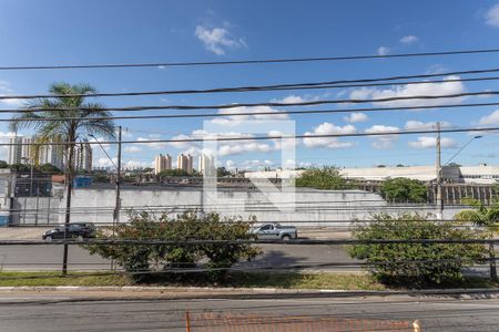 Apartamento para alugar com 70m², 1 quarto e sem vagaVista da varanda