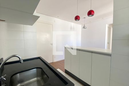 Apartamento para alugar com 51m², 2 quartos e 1 vagaCozinha - Torneira