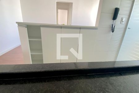 Apartamento para alugar com 51m², 2 quartos e 1 vagaCozinha - Armários