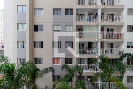 Vista - Quarto 1 de apartamento para alugar com 2 quartos, 39m² em Brás, São Paulo