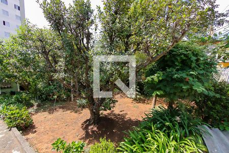 Casa à venda com 295m², 2 quartos e sem vagaQuintal