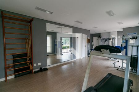 Apartamento para alugar com 50m², 2 quartos e 1 vaga Apartamento para alugar com 50m², 2 quartos e 1 vagaÁrea comum - Academia