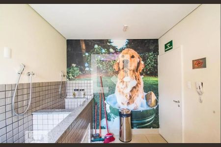 Apartamento para alugar com 50m², 2 quartos e 1 vagaPet Care