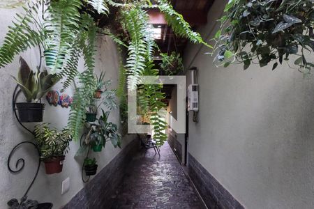 Casa à venda com 240m², 3 quartos e 2 vagasQuintal