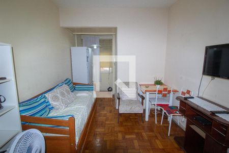 Sala/Quarto de Apartamento com 0 quartos, 37m² Centro