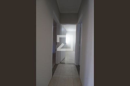 Corredor de apartamento para alugar com 2 quartos, 67m² em Cambuí, Campinas