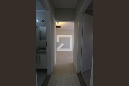 Corredor de apartamento para alugar com 2 quartos, 67m² em Cambuí, Campinas