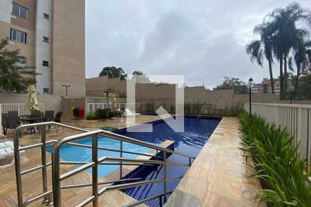 Área comum - Piscina de apartamento para alugar com 2 quartos, 40m² em Paraíso do Morumbi, São Paulo