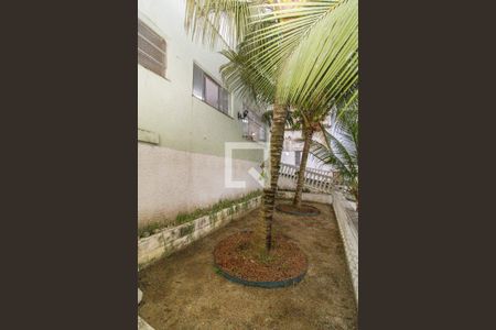 Casa à venda com 360m², 5 quartos e 6 vagasÁrea Externa - Coqueiros