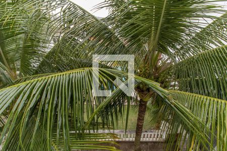 Casa à venda com 360m², 5 quartos e 6 vagasCasa 1 - Vista do Quarto 3