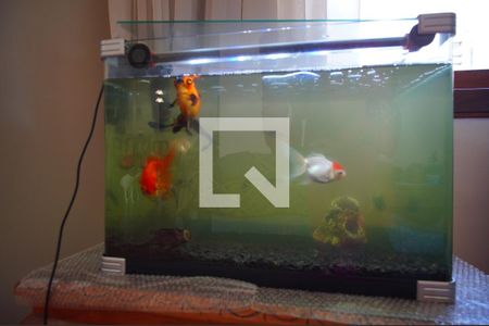 Sala-Dono do Ape de apartamento à venda com 3 quartos, 270m² em Auxiliadora, Porto Alegre