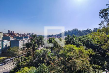 Vista do Quarto de apartamento para alugar com 1 quarto, 24m² em Paraisópolis, São Paulo