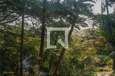 Casa para alugar com 4424m², 3 quartos e 8 vagasVista Banheiro Master