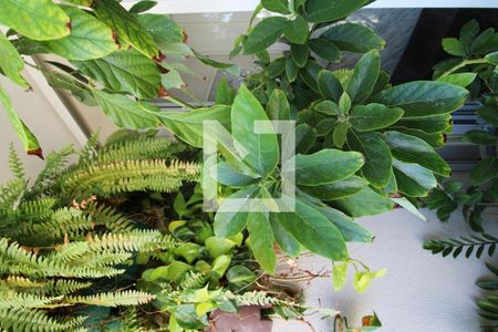 varanda de apartamento para alugar com 1 quarto, 50m² em Vila Gertrudes, São Paulo