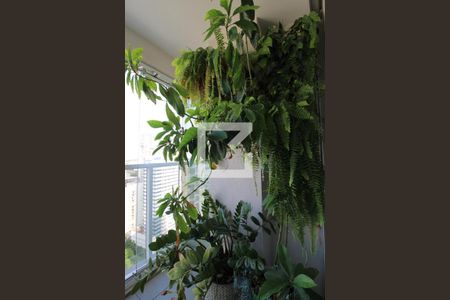 Apartamento para alugar com 50m², 1 quarto e 1 vagavaranda