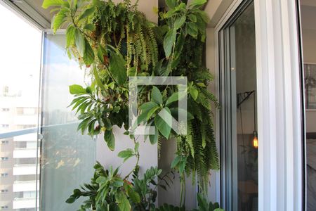 Apartamento para alugar com 50m², 1 quarto e 1 vagavaranda