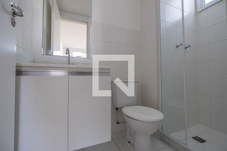 Banheiro Suíte de apartamento para alugar com 2 quartos, 55m² em São Cristóvão, Rio de Janeiro