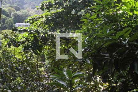 Vista da Varanda da Sala de apartamento à venda com 2 quartos, 60m² em Lagoa, Rio de Janeiro