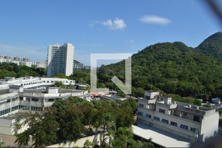 Apartamento para alugar com 50m², 2 quartos e 1 vagaVista do Quarto 2