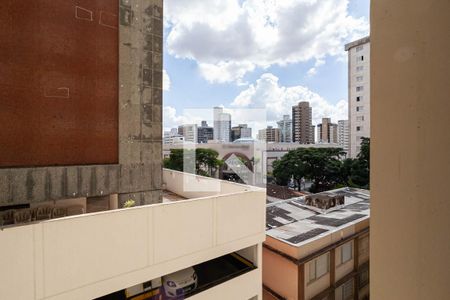 Vista da sala  de apartamento para alugar com 1 quarto, 60m² em Lourdes, Belo Horizonte