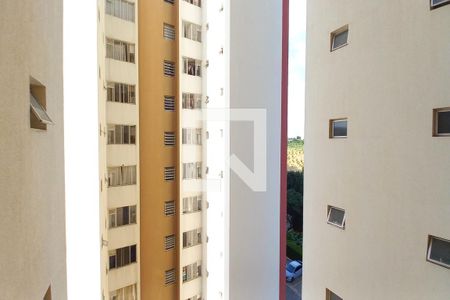 Apartamento à venda com 74m², 3 quartos e 2 vagasVista da Área de Serviço