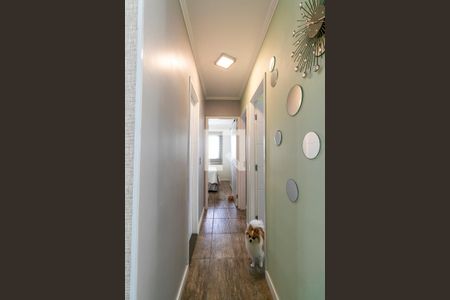 Corredor de apartamento à venda com 3 quartos, 65m² em Vila Moreira, São Paulo