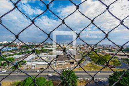 Apartamento à venda com 236m², 3 quartos e 2 vagasVista do quarto 2