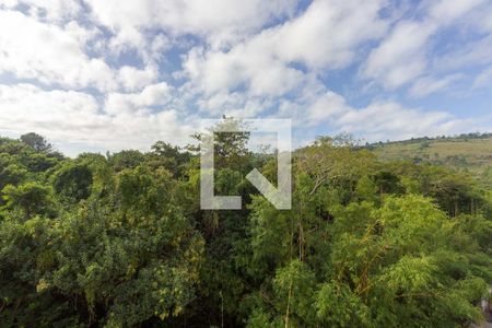 Vista de apartamento à venda com 2 quartos, 49m² em Rio Branco, Porto Alegre