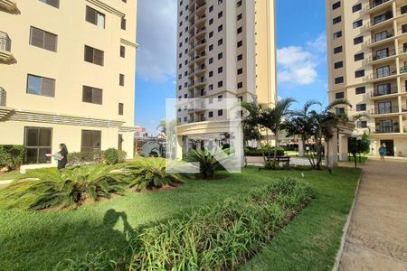 Apartamento para alugar com 81m², 3 quartos e 1 vagaJardim