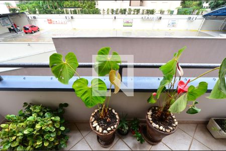 Sacada de apartamento à venda com 3 quartos, 126m² em Vila Mascote, São Paulo